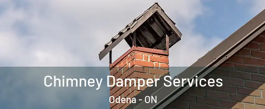  Chimney Damper Services Odena - ON