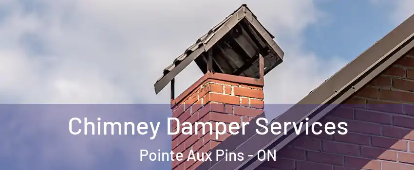  Chimney Damper Services Pointe Aux Pins - ON