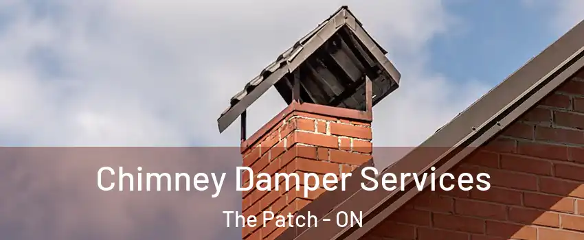  Chimney Damper Services The Patch - ON