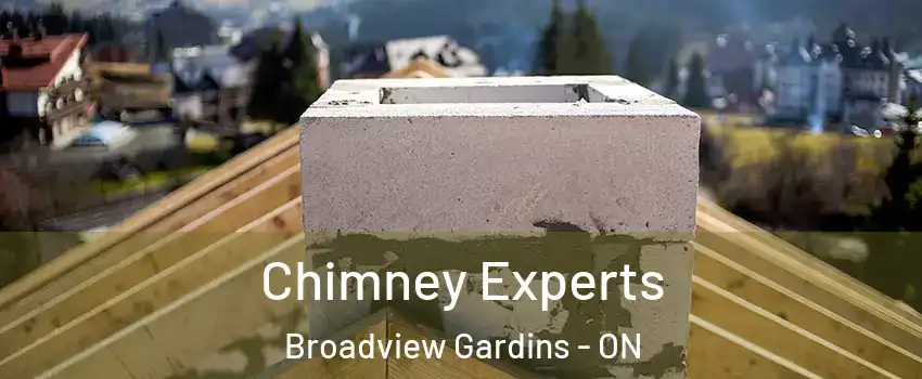  Chimney Experts Broadview Gardins - ON