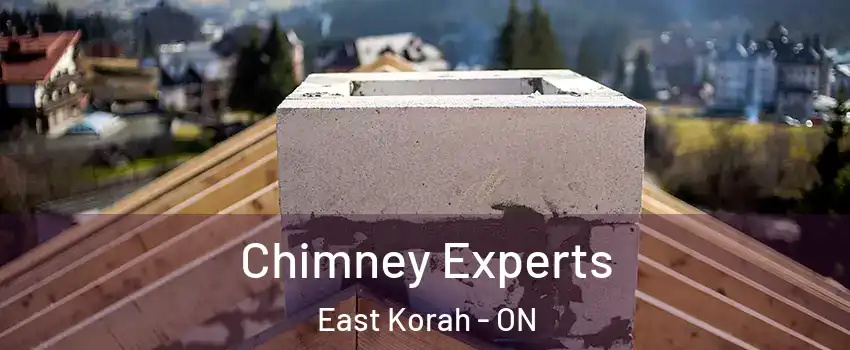  Chimney Experts East Korah - ON