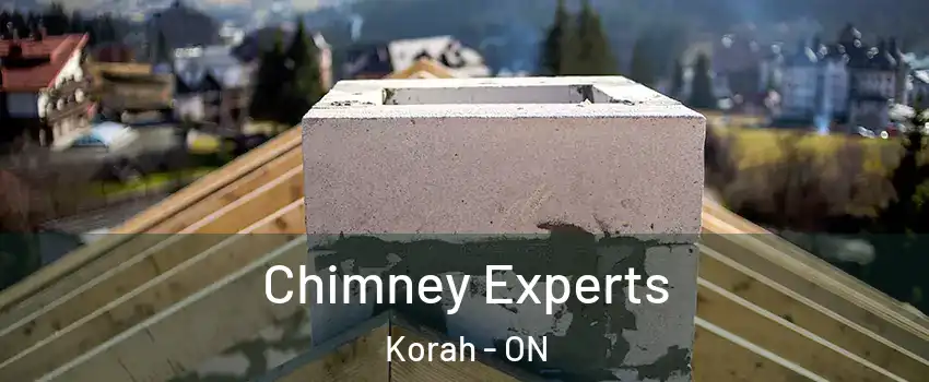  Chimney Experts Korah - ON
