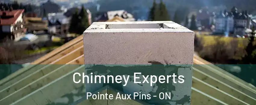  Chimney Experts Pointe Aux Pins - ON