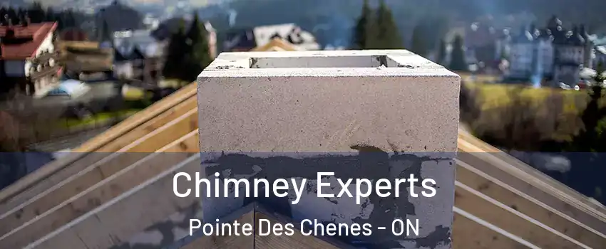  Chimney Experts Pointe Des Chenes - ON