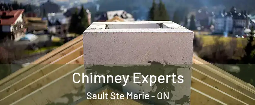 Chimney Experts Sault Ste Marie - ON