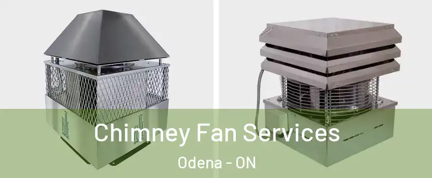 Chimney Fan Services Odena - ON
