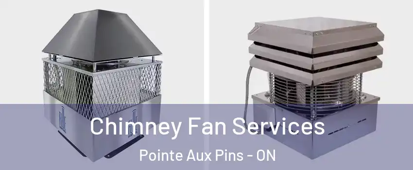  Chimney Fan Services Pointe Aux Pins - ON