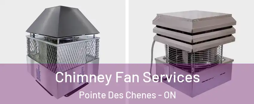 Chimney Fan Services Pointe Des Chenes - ON