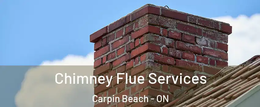 Chimney Flue Services Carpin Beach - ON