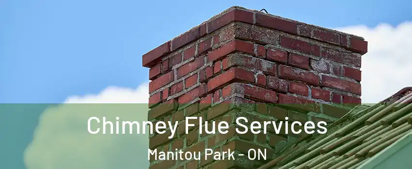  Chimney Flue Services Manitou Park - ON