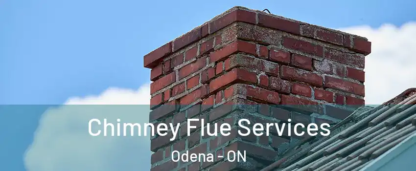  Chimney Flue Services Odena - ON