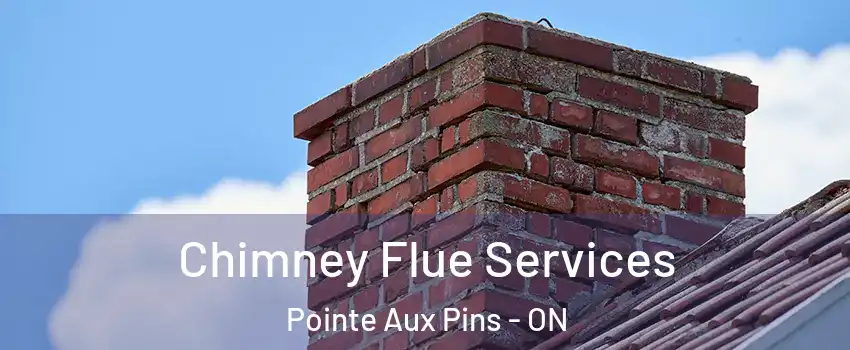  Chimney Flue Services Pointe Aux Pins - ON