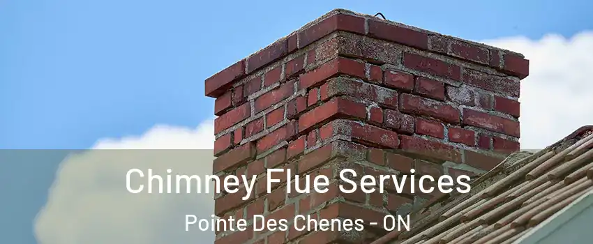  Chimney Flue Services Pointe Des Chenes - ON