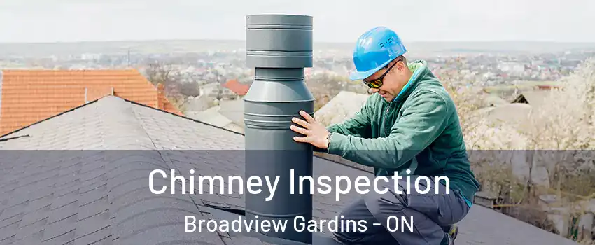  Chimney Inspection Broadview Gardins - ON