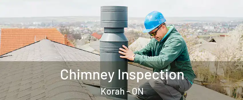  Chimney Inspection Korah - ON