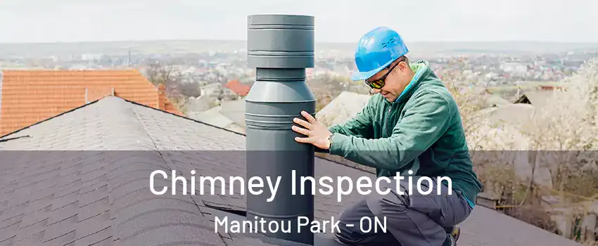  Chimney Inspection Manitou Park - ON
