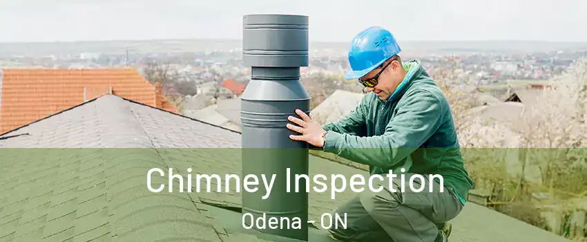 Chimney Inspection Odena - ON