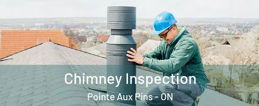  Chimney Inspection Pointe Aux Pins - ON