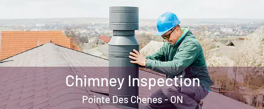 Chimney Inspection Pointe Des Chenes - ON