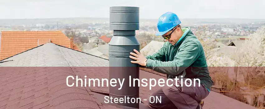  Chimney Inspection Steelton - ON