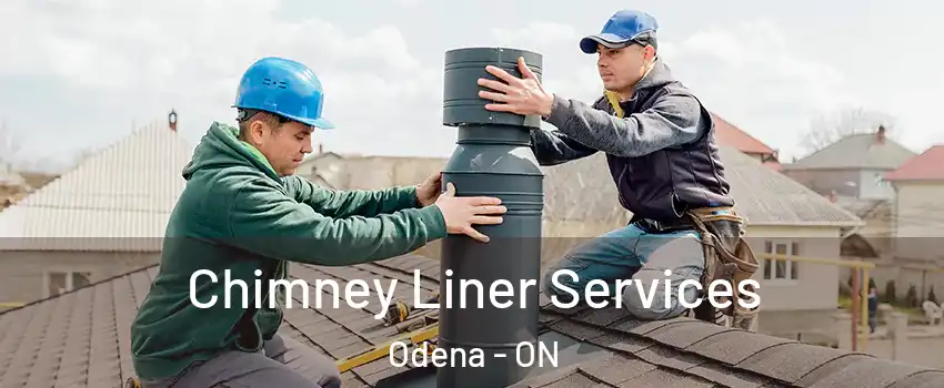  Chimney Liner Services Odena - ON