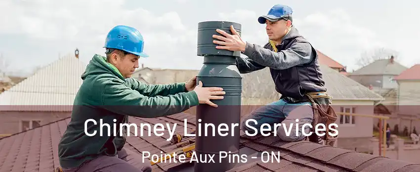 Chimney Liner Services Pointe Aux Pins - ON