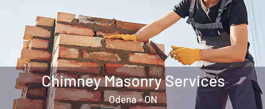 Chimney Masonry Services Odena - ON