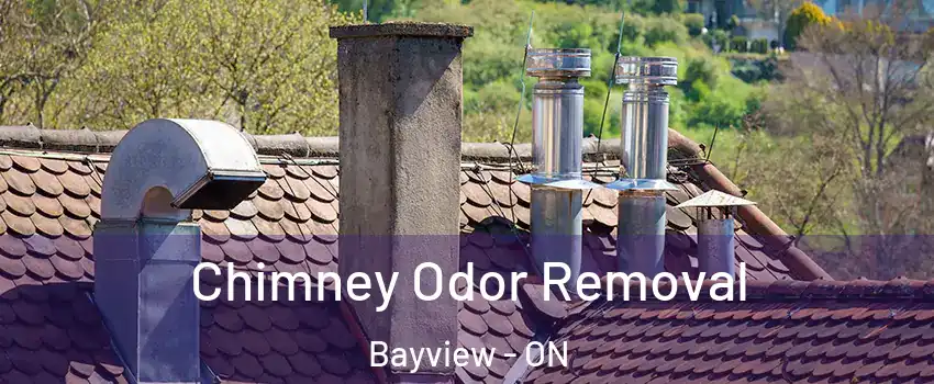  Chimney Odor Removal Bayview - ON