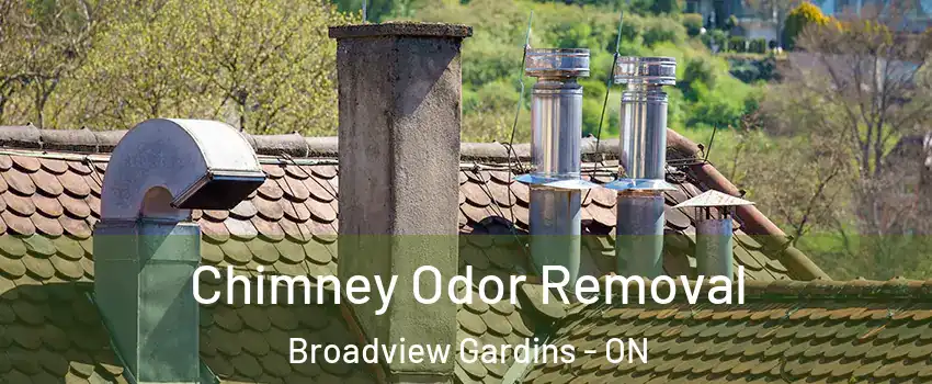 Chimney Odor Removal Broadview Gardins - ON
