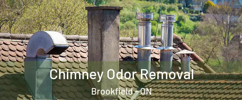  Chimney Odor Removal Brookfield - ON