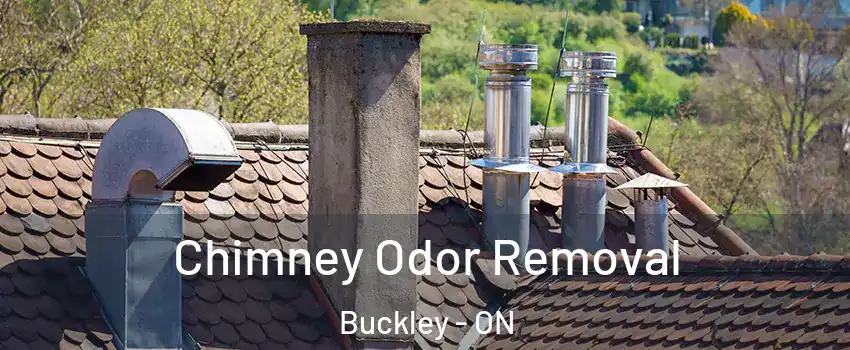 Chimney Odor Removal Buckley - ON