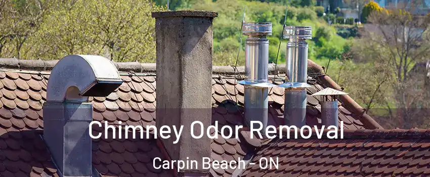  Chimney Odor Removal Carpin Beach - ON