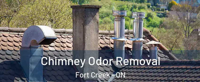  Chimney Odor Removal Fort Creek - ON