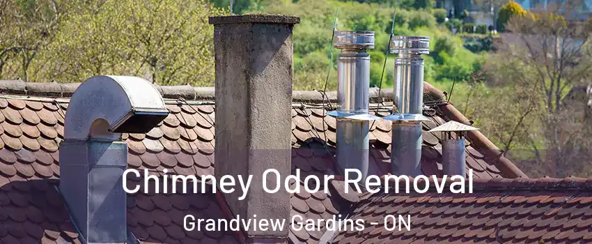 Chimney Odor Removal Grandview Gardins - ON