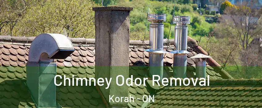  Chimney Odor Removal Korah - ON