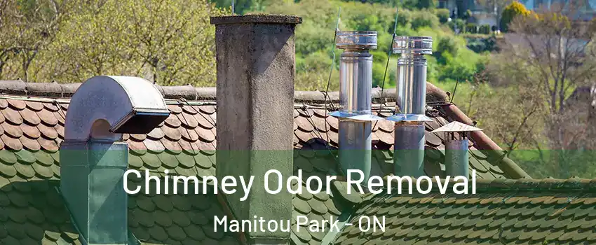  Chimney Odor Removal Manitou Park - ON