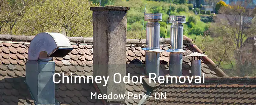  Chimney Odor Removal Meadow Park - ON