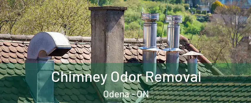  Chimney Odor Removal Odena - ON