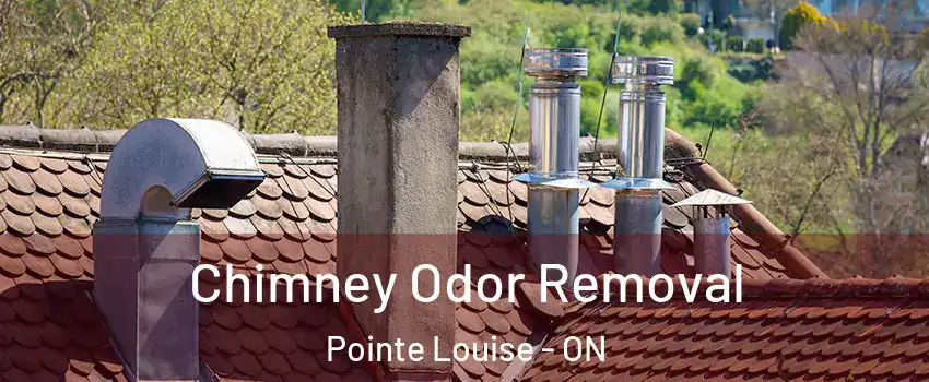  Chimney Odor Removal Pointe Louise - ON