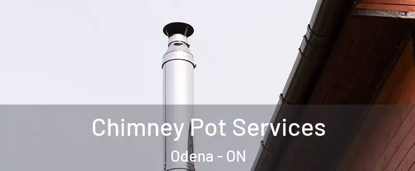  Chimney Pot Services Odena - ON