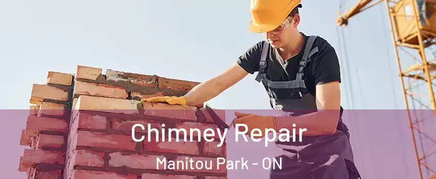  Chimney Repair Manitou Park - ON