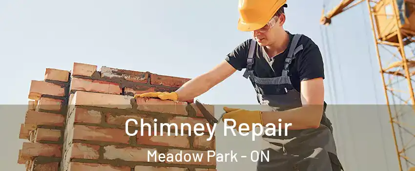  Chimney Repair Meadow Park - ON