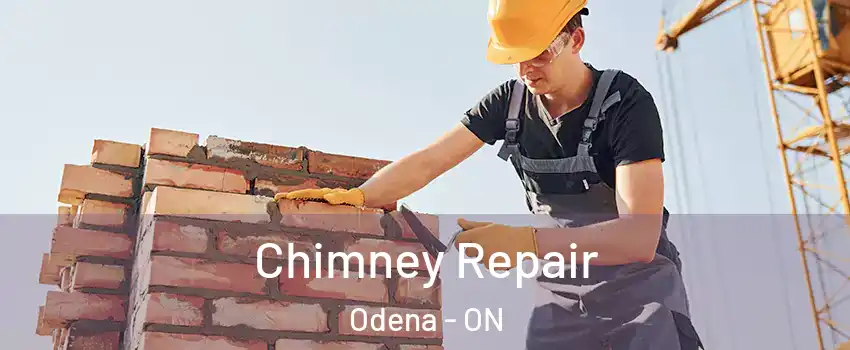 Chimney Repair Odena - ON