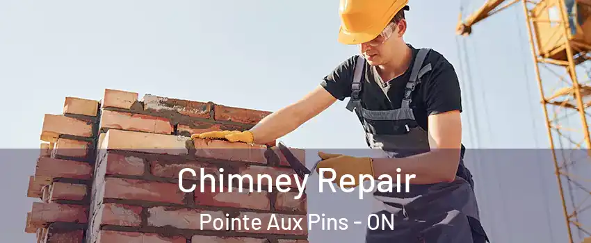  Chimney Repair Pointe Aux Pins - ON