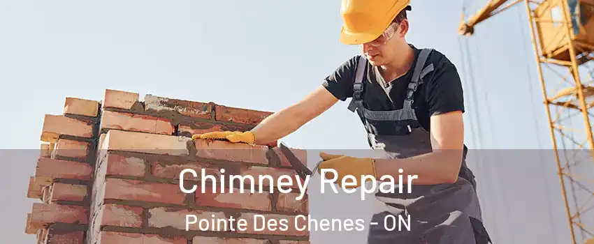  Chimney Repair Pointe Des Chenes - ON