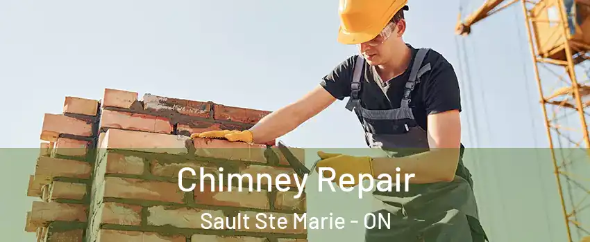  Chimney Repair Sault Ste Marie - ON