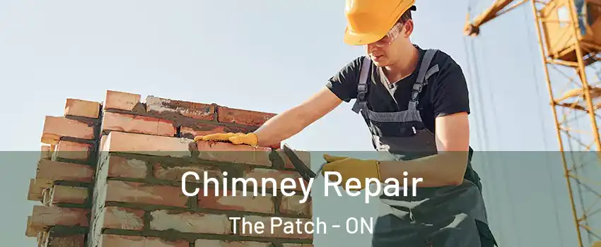  Chimney Repair The Patch - ON