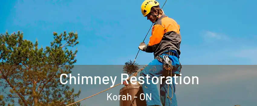 Chimney Restoration Korah - ON