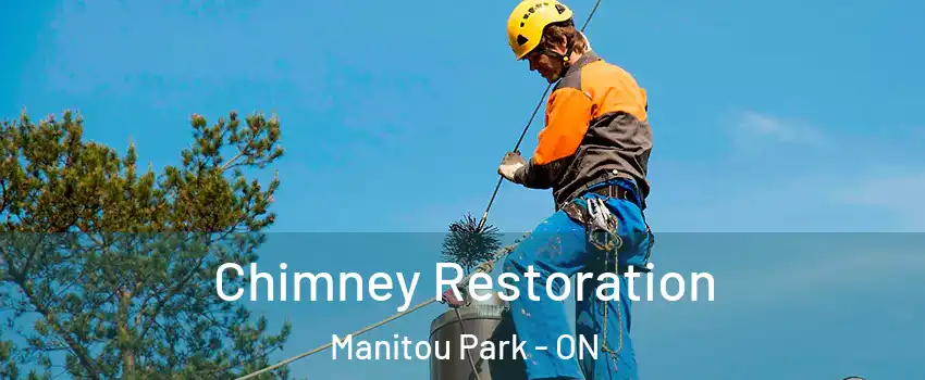  Chimney Restoration Manitou Park - ON