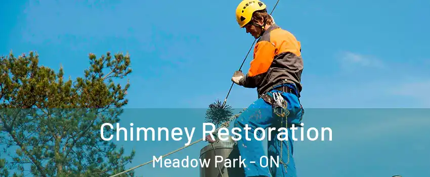  Chimney Restoration Meadow Park - ON